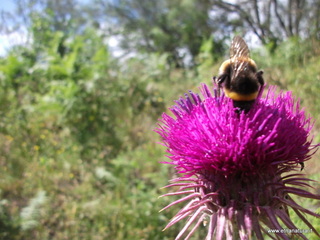 Pianobello - 26-05-2013 09-40-23.JPG